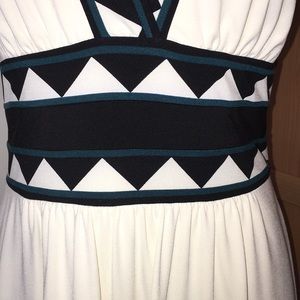 NWT BCBG Maxazaria Dress